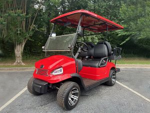 golf cart maintenance, margate golf cart service, battery service