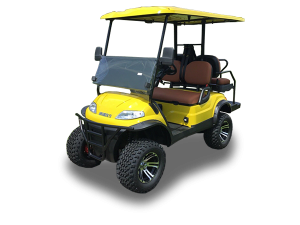 golf cart repair service, margate cart repair pickup